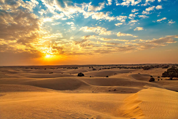 Jaisalmer desert